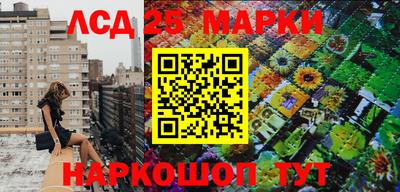 гидропоника Новодвинск