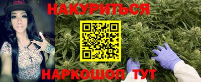 бошки Новокубанск