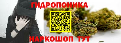 гидропоника Новодвинск
