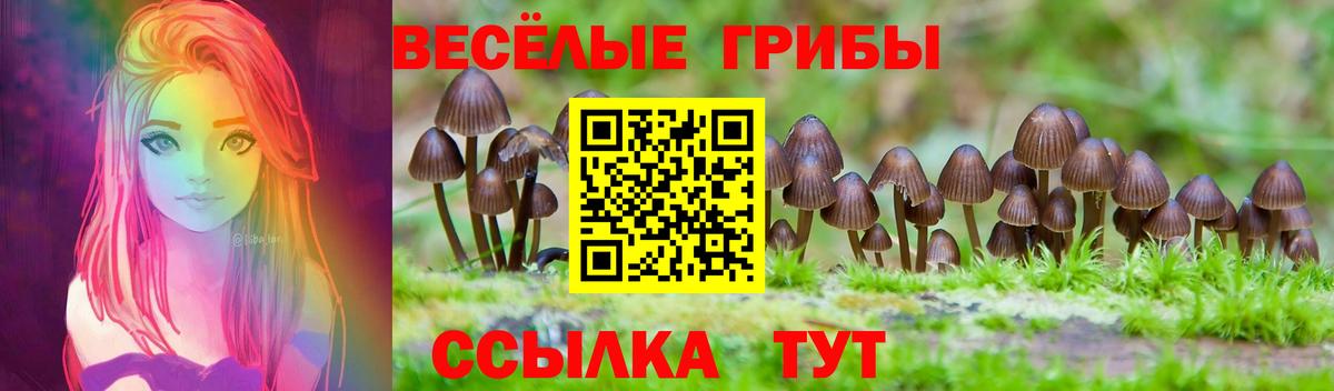 Галлюциногенные грибы GOLDEN TEACHER Уварово