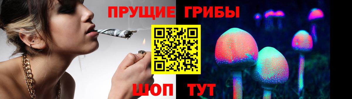 Галлюциногенные грибы прущие грибы  купить наркотик  Уварово  Псилоцибиновые грибы Magic Shrooms  Вход с VPN 